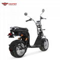 Electric Fat Tire Harley Scooter (CP-2)