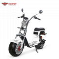 Electric Fat Tire Harley Scooter (CP-2) 6