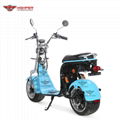 Electric Fat Tire Harley Scooter (CP-2) 8