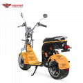 Electric Fat Tire Harley Scooter (CP-2) 9