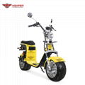 Electric Fat Tire Harley Scooter (CP-2) 1