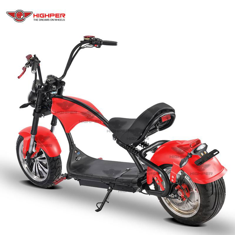 Electric Motorcycle (M3P) 4