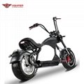Electric Motorcycle (M3P) 5