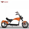 Electric Motorcycle (M3P) 6