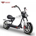 Electric Motorcycle (M3P) 1