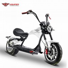 Electric Motorcycle (M3P)