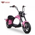 Electric Motorcycle EEC approved (M3) 1