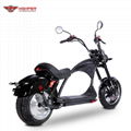 Electric Motorcycle EEC approved (M3)