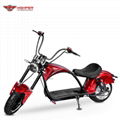 Electric Motorcycle EEC approved (M3)