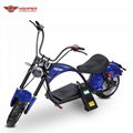 Electric Motorcycle EEC approved (M3) 6
