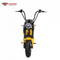 Electric Motorcycle EEC approved (M3) 7