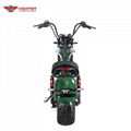 Electric Motorcycle EEC approved (M3) 8