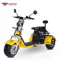 Electric 3-wheel Harley (CP-3.0) 1