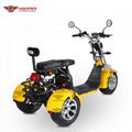 Electric 3-wheel Harley (CP-3.0) 4