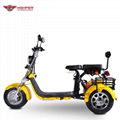 Electric 3-wheel Harley (CP-3.0) 2