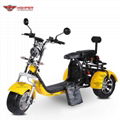 Electric 3-wheel Harley (CP-3.0)