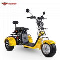 Electric 3-wheel Harley (CP-3.0) 6