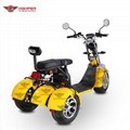 Electric 3-wheel Harley Motorcycle (CP-3.1) 3