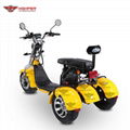 Electric 3-wheel Harley Motorcycle (CP-3.1) 6