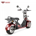 Electric Harley Scooter (CP5) 8