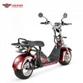 Electric Harley Scooter (CP5)
