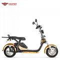 Electric Harley Scooter (CP5)