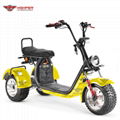  Three-wheel Electric Motorcycle (CP-7.1)