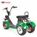  Three-wheel Electric Motorcycle (CP-7.1)