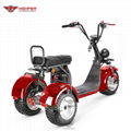  Three-wheel Electric Motorcycle (CP-7.1)