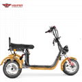  Three-wheel Electric Motorcycle (CP-7.1)