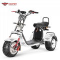 3 Wheels Electric Harley Scooter EEC