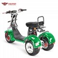 3 Wheels Electric Harley Scooter EEC approved (CP-7.2)
