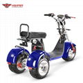 3 Wheels Electric Harley Scooter EEC approved (CP-7.2)