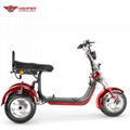 3 Wheels Electric Harley Scooter EEC approved (CP-7.2) 8