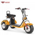 3 Wheels Electric Harley Scooter EEC approved (CP-7.2) 9