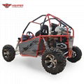 Adult Off Road Buggy 300cc (GK016)