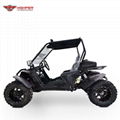 Adult Go Kart GK013 300cc (K7+) 2