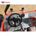 Adult Off Road Buggy 300cc (GK016)