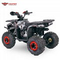 110cc,125cc ATV Quad Bike, 4 Wheeler (Sirius)