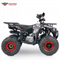 110cc,125cc ATV Quad Bike, 4 Wheeler (Sirius)