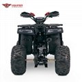 110cc,125cc ATV Quad Bike, 4 Wheeler (Sirius) 7