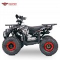 110cc,125cc ATV Quad Bike, 4 Wheeler (Sirius) 8