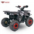 110cc,125cc ATV Quad Bike, 4 Wheeler (Sirius)