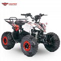 110cc,125cc ATV Quad Bike (Scorpio)