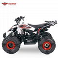 110cc,125cc ATV Quad Bike (Scorpio)