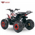 110cc,125cc ATV Quad Bike (Scorpio)