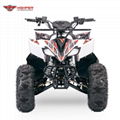 110cc,125cc ATV Quad Bike (Scorpio)