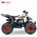 110cc,125cc ATV Quad Bike (Scorpio) 7