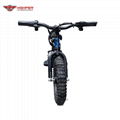 Electric Balance Bike 12" (HP121E) 4