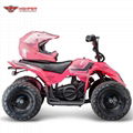 Mini Kids Electric Quad (ATV-8E A) 2